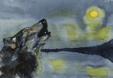 En varg som ylar mot månen