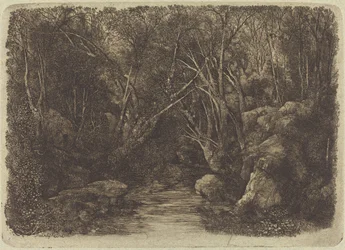 Bäcken i skogen