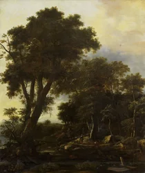 Skogslandskap med vindskydd