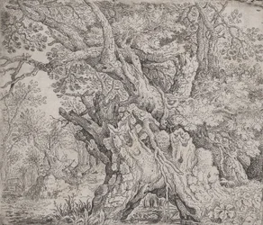Knotiga träd, ca. 1608-09.