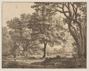 Plansch. 6, från Sex vyer i skogen i Haag