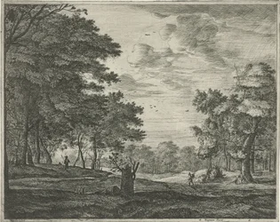 Vandrare i Haagse Bos