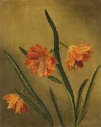 Studie av blommor (olja på duk)