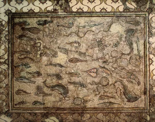 Romersk konst: mosaik av fisk. Början av 300-talet. Tarragona. Arkeologiska museet.