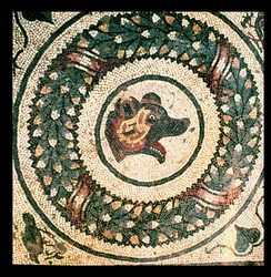 Björnens huvud, romersk mosaik, tidigt 400-tal (mosaik)