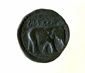 Kartago mynt som föreställer en elefant. 3:e eller 2:a århundradet f.Kr.