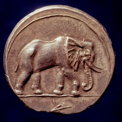 Karthagisk civilisation: medalj som representerar en elefant som tillät den karthagiske generalen Hannibal (247-183 f.Kr.) att korsa Alperna 218 f.Kr. under det andra puniska kriget. 3:e århundradet f.Kr. Paris, B.N.