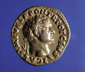 Mynt med bilden av den romerske kejsaren Titus (40 - 81). Samling av Medagliere i Milano.