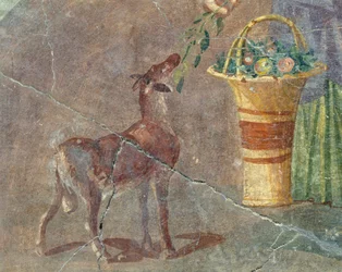 Get och fruktkorg, fresk från Pompeji, Kampanien, Italien, romersk civilisation