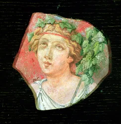 Huvudet på en bacchante