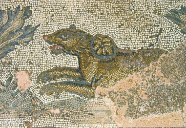 Jaktscen, detalj av en lejoninna, House of Dionysos, Paphos, Cypern mosaik