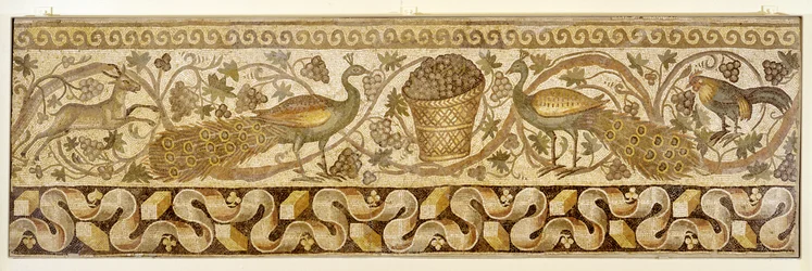Mosaik av en vinranksbård med påfåglar, Antiokia, 526-540