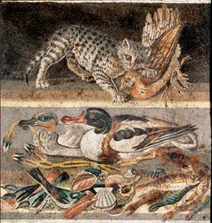 Romersk konst: katt som äter en rapphöna och vildänder, första hälften av 1:a århundradet f.Kr., Rom, Museo Nazionale Romano
