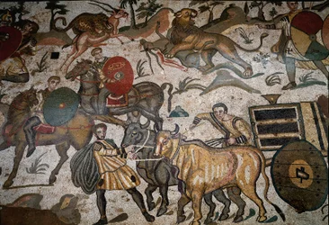 Romersk konst: detalj av mosaiken "" Den stora jaktdelen"" Röding drar av oxar. 315-350 e.Kr. Piazza Armerina, Villa Romana del Casale