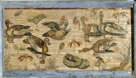 Romersk konst: anka, groda och näckrosor i en damm. Mosaik från Faunens hus i Pompeji. 1:a århundradet. Mått: 132 x 164 cm. Museo Archeologico Nazionale, Neapel
