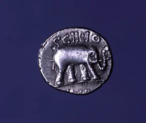 Silvermynt som föreställer en elefant, fetischdjur från Scipions. Lucius Caecilius Metellus tog de karthagiska elefanterna 251 f.Kr. 47-46 f.Kr.