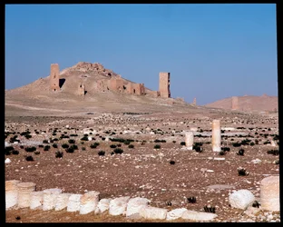Utsikt över Iamblichus och Elahbels torngravar (Fotografi)