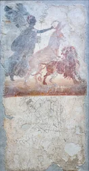 En åsna som penetrerar ett lejon kröns av gudinnan Victoria, under en graffito med gladiatorstrid, butiksinskription