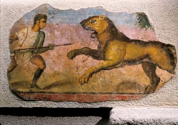 Gladiator som kämpar mot ett lejon