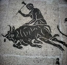 Mosaik som visar en scen av en tjurs slakt och hittades i Ostia (Ostia) (nära Rom). För närvarande bevarad i den före detta brandhallen i Ostia.