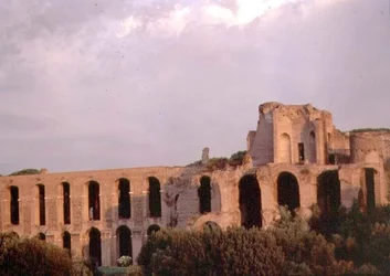 Utsikt över Palatinen från Circus Maximus (foto) (se även 99012)