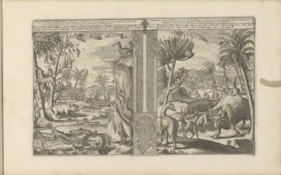Dieren från Västindien West Indische Beesten / Västindiens djur (titel på objekt) Öst- och Västindien och andra platser (serietitel)