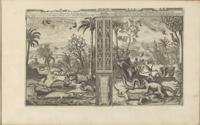 Dieren från Västindien Westindische Vissen, etc / Fishes, etc of the West Indies // Westindische Gedrochten / Monsters of the West Indies (titel på objektet) Öst- och Västindien och andra platser (serietitel)