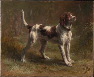 En Bloodhound Lighter Hound