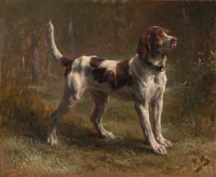 En Bloodhound Briquet Hound, ca. 1856.