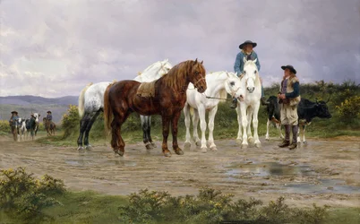 Pyrenéerna Farmers Market Bound, 1884