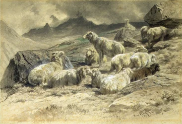 Får