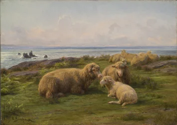 Får vid havet