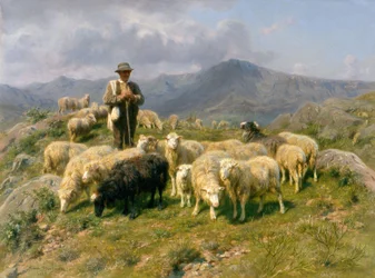 Herde i Pyrenéerna