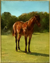 Studie av häst bai körsbär. Målning av Rosa Bonheur (1822-1899)