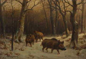 Vildsvin i snön, omkring 1872-77