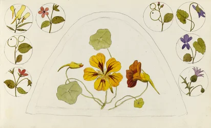 Motivering med krasse och andra blommor