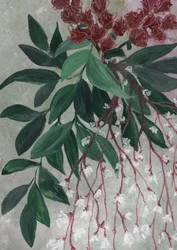 Gröna blad, vita blommor