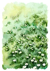 Blommor från Gröna ängen
