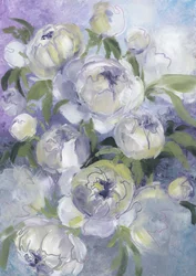 Mjuka pionblommor