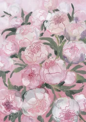 Mjukt rosa pioner