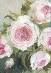 Mjukt rosa rosor