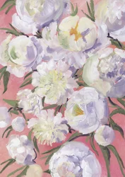 Vita pioner blommar