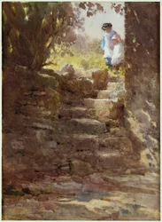Solstrålar, 1896