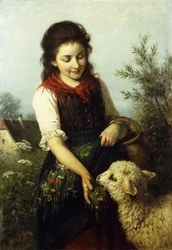 Mata lammet,