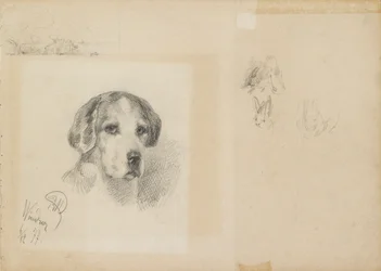 Porträtt av en hund: Windsor, 1877