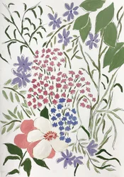 Färgglada trädgårdsblommor
