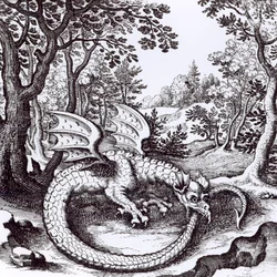 En drake i skogen, ur "Musaeum Hermeticum Reformatum" av Basil Valentine, 1678