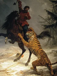 Sibirisk tiger attackerar en kosack