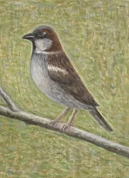 Hussparv, 2008 (olja på trä)