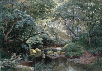 En skogsbäck